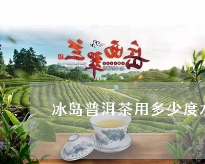 冰岛普洱茶用多少度水泡最好/2023052806483