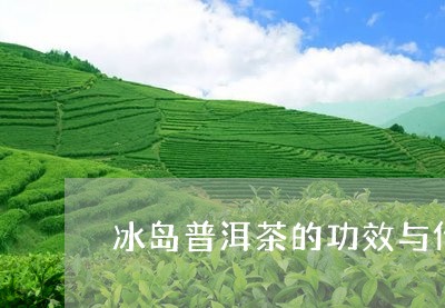 冰岛普洱茶的功效与作用及禁忌症/2023121315050