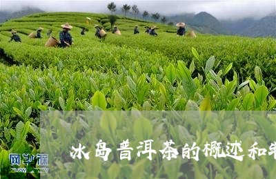 冰岛普洱茶的概述和特点/2023110108369