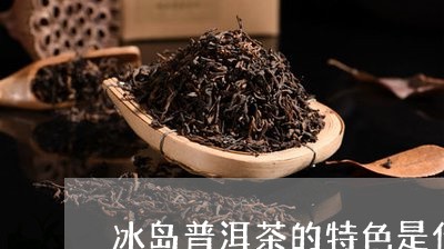 冰岛普洱茶的特色是什么味道/2023052805170