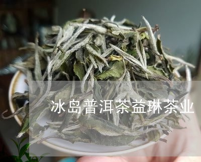 冰岛普洱茶益琳茶业/2023120583257