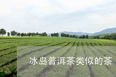 冰岛普洱茶类似的茶/2023071183250