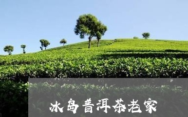 冰岛普洱茶老家/2023081582593