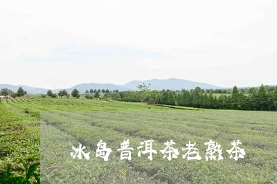 冰岛普洱茶老熟茶/2023112523735