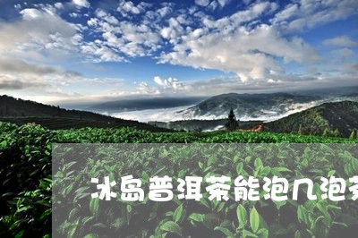 冰岛普洱茶能泡几泡茶吗/2023050551595