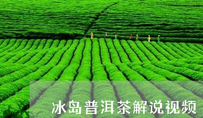 冰岛普洱茶解说视频/2023120515139