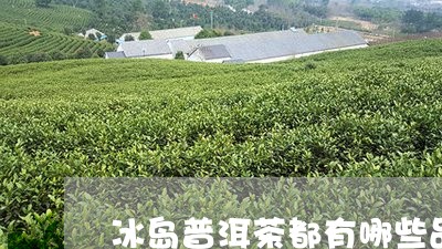 冰岛普洱茶都有哪些品牌产品/2023052944069