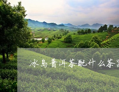 冰岛普洱茶配什么茶器好/2023050536169