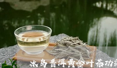 冰岛普洱黄金叶茶功效/2023092572739