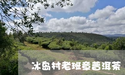 冰岛村老班章普洱茶/2023071134035