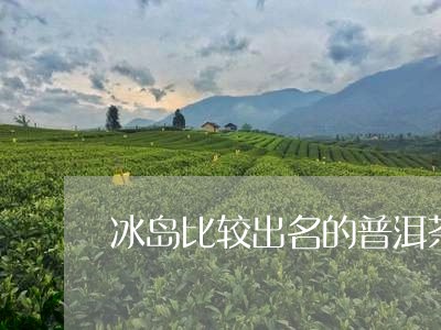 冰岛比较出名的普洱茶/2023110539379