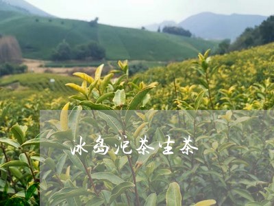 冰岛沱茶生茶/2023090717580