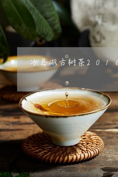 冰岛湖古树茶2016/2023092379684