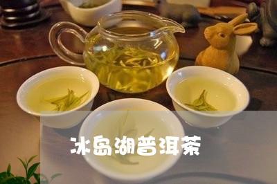 冰岛湖普洱茶/2023042976725