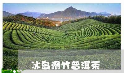 冰岛滑竹普洱茶/2023102666269