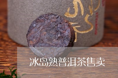 冰岛熟普洱茶售卖/2023120405058