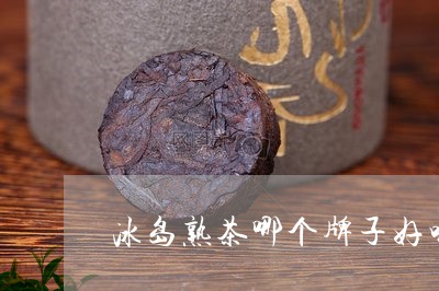 冰岛熟茶哪个牌子好喝/2023092396290