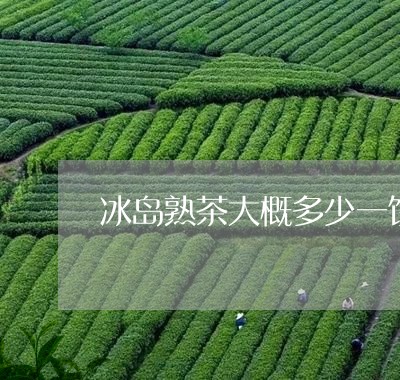 冰岛熟茶大概多少一饼/2023061239283