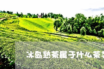 冰岛熟茶属于什么茶类/2023061258493