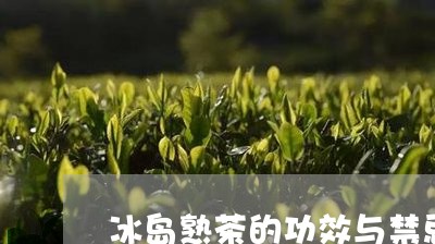 冰岛熟茶的功效与禁忌/2023061253716