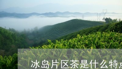 冰岛片区茶是什么特点/2023092226938