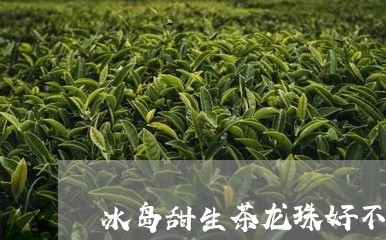 冰岛甜生茶龙珠好不好/2023092341594