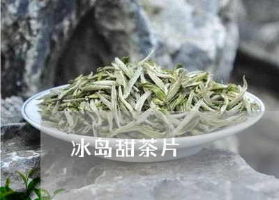 冰岛甜茶片/2023041863486