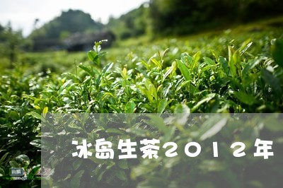 冰岛生茶2012年/2023042648497