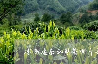 冰岛生茶和熟茶哪个好泡一点/2023052795248