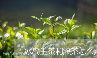 冰岛生茶和熟茶怎么泡/2023092389583