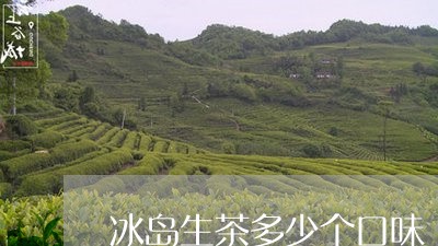 冰岛生茶多少个口味/2023042643151