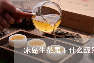 冰岛生茶属于什么级别/2023061185159