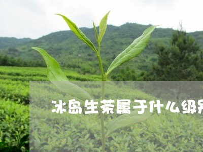 冰岛生茶属于什么级别/2023092380593