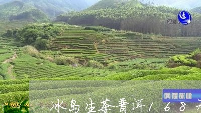 冰岛生茶普洱168元/2023092550604