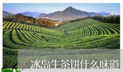 冰岛生茶饼什么味道/2023042608491