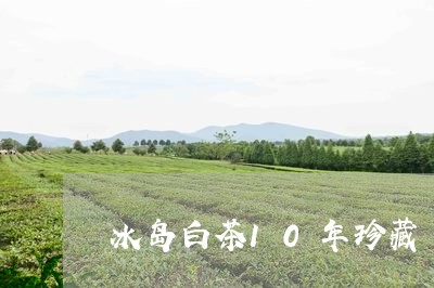 冰岛白茶10年珍藏/2023121533917