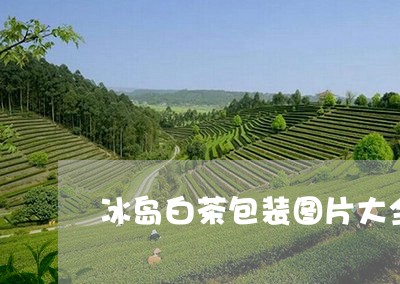 冰岛白茶包装图片大全图/2023082515169