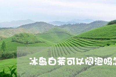 冰岛白茶可以闷泡吗怎么泡/2023111660925