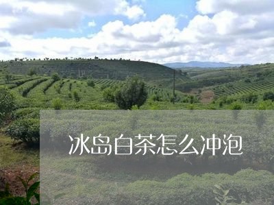 冰岛白茶怎么冲泡/2023061618514