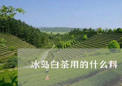 冰岛白茶用的什么料/2023081326068