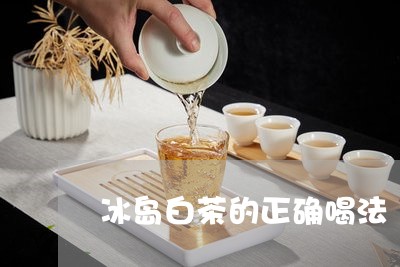 冰岛白茶的正确喝法/2023081315049