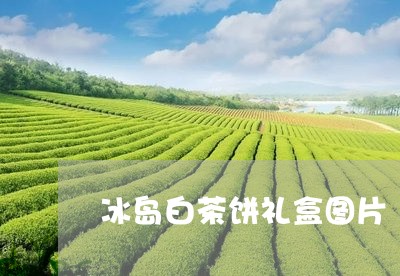 冰岛白茶饼礼盒图片/2023081317273