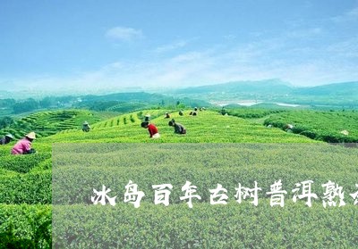 冰岛百年古树普洱熟茶/2023092452816