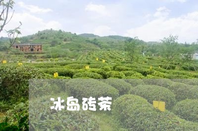 冰岛砖茶/2023090170713