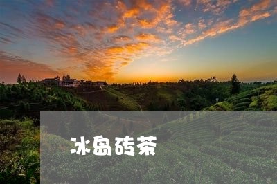 冰岛砖茶/2023121816272