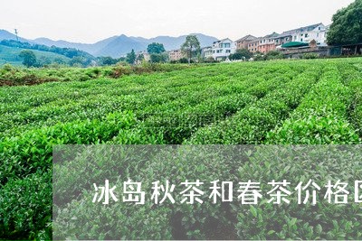 冰岛秋茶和春茶价格区别在哪/2023052665268