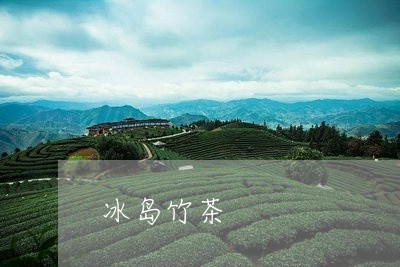 冰岛竹茶/2023090166250