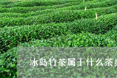 冰岛竹茶属于什么茶类/2023061247583