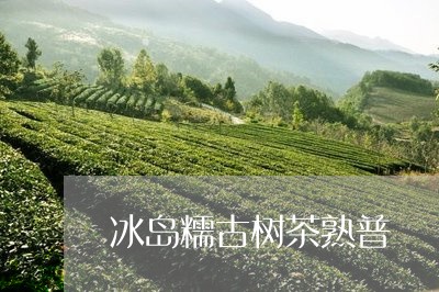 冰岛糯古树茶熟普/2023042712624