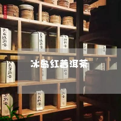 冰岛红普洱茶/2023042953602